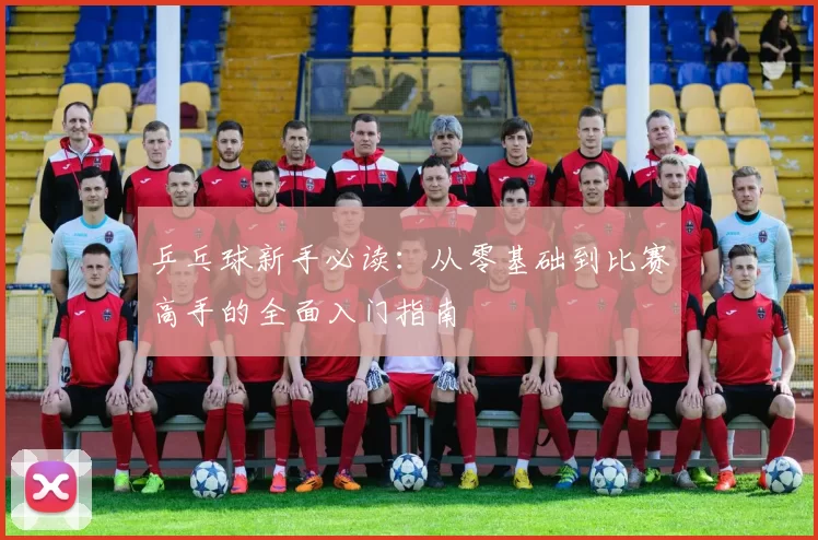 乒乓球新手必读:从零基础到比赛高手的全面入门指南