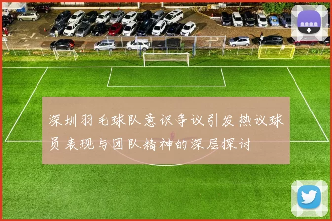 深圳羽毛球队意识争议引发热议球员表现与团队精神的深层探讨