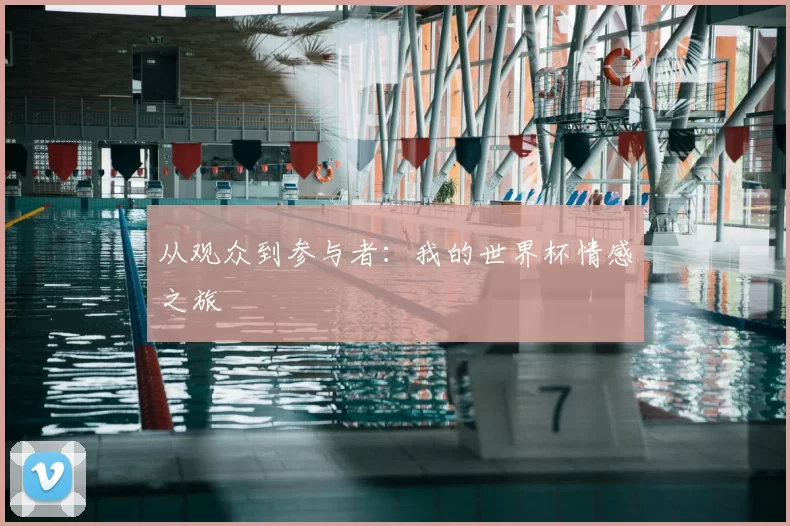 从观众到参与者:我的世界杯情感之旅