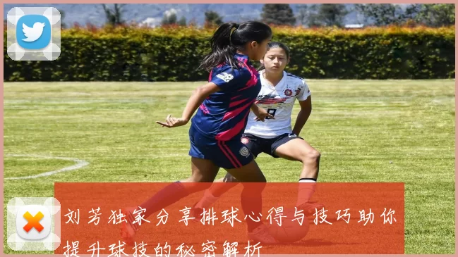 刘芳独家分享排球心得与技巧助你提升球技的秘密解析