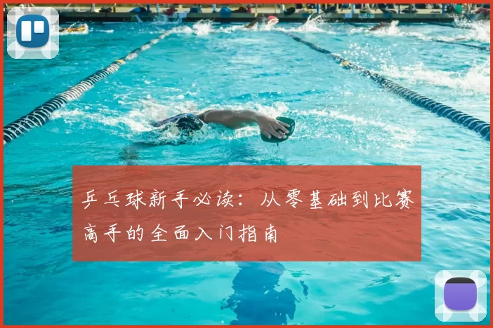 乒乓球新手必读：从零基础到比赛高手的全面入门指南