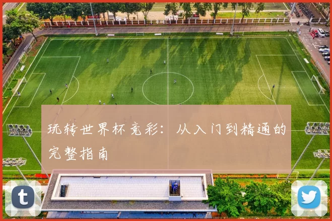玩转世界杯竞彩:从入门到精通的完整指南
