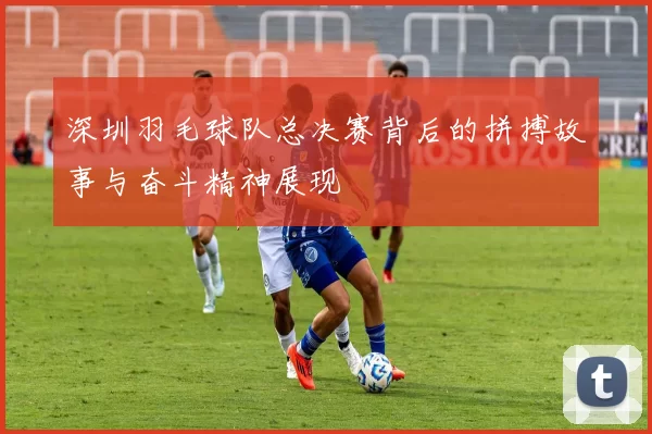 深圳羽毛球队总决赛背后的拼搏故事与奋斗精神展现