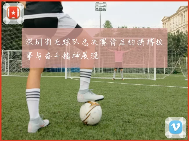 深圳羽毛球队总决赛背后的拼搏故事与奋斗精神展现