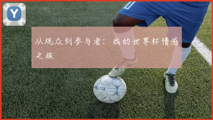 从观众到参与者:我的世界杯情感之旅
