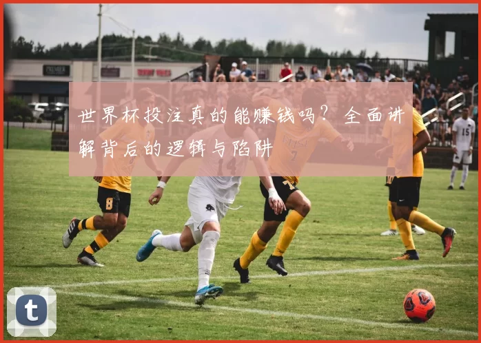 世界杯投注真的能赚钱吗？全面讲解背后的逻辑与陷阱
